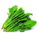 Good Quality Free Sample Factory Supply Directly Spinach Powder Min Order: 1kg